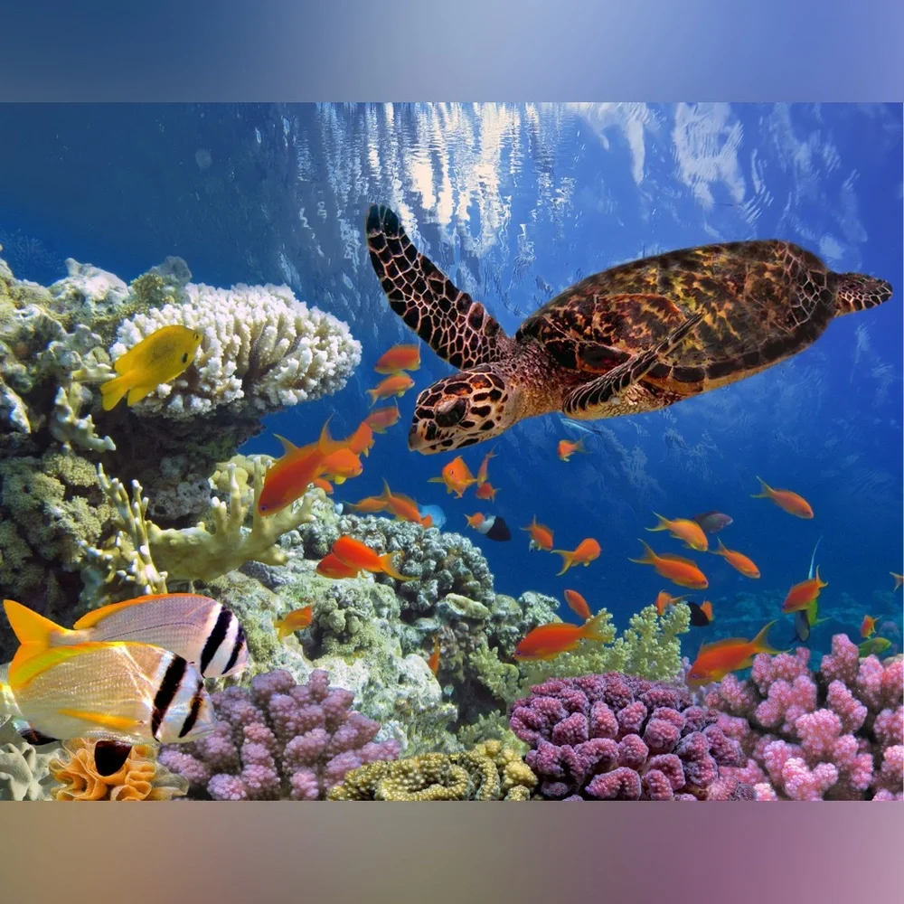 Underwater Coral Reef Puzzle with Sea Turtle